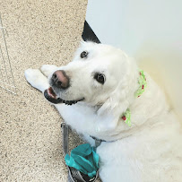 The Dirty Dog - Photo 8 - Car repair in Broomfield, CO, Thornton