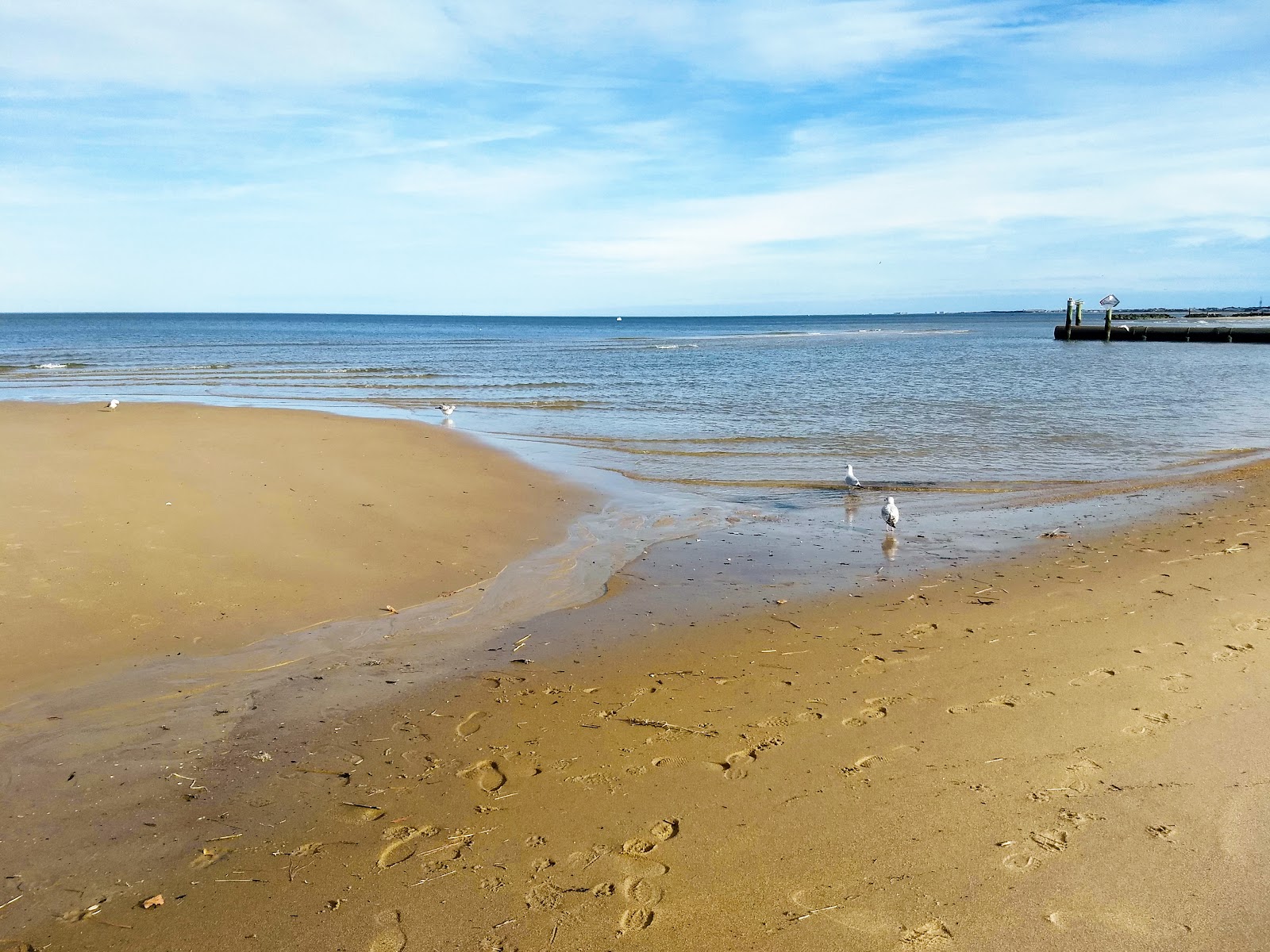Ocean View beach photo #8