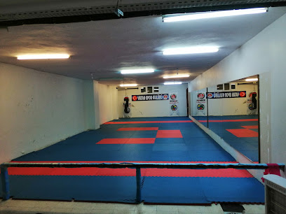 Adana Vatan Karate Spor Kulübü