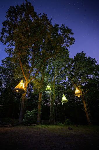 Social Tree Climbers