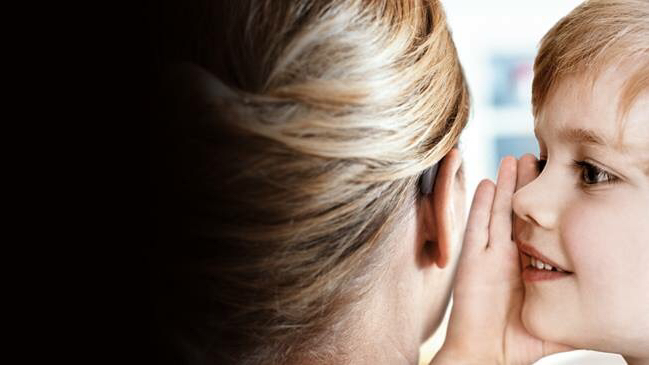 Professional Hearing Services