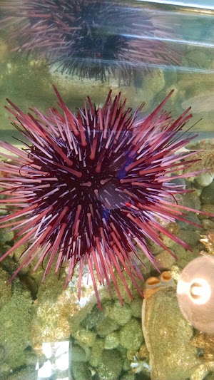 MaST Center Aquarium - photo 90