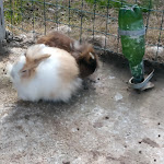 Photo n°12 de l'avis de Vanessa.i fait le 06/02/2023 à 21:48 sur le  Antico Pagliaio à Piane Vomano