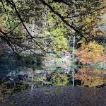Photo n°7 de l'avis de khizar.a fait le 29/06/2018 à 16:03 sur le  Blautopfhaus Schönhofer am Blautopf à Blaubeuren