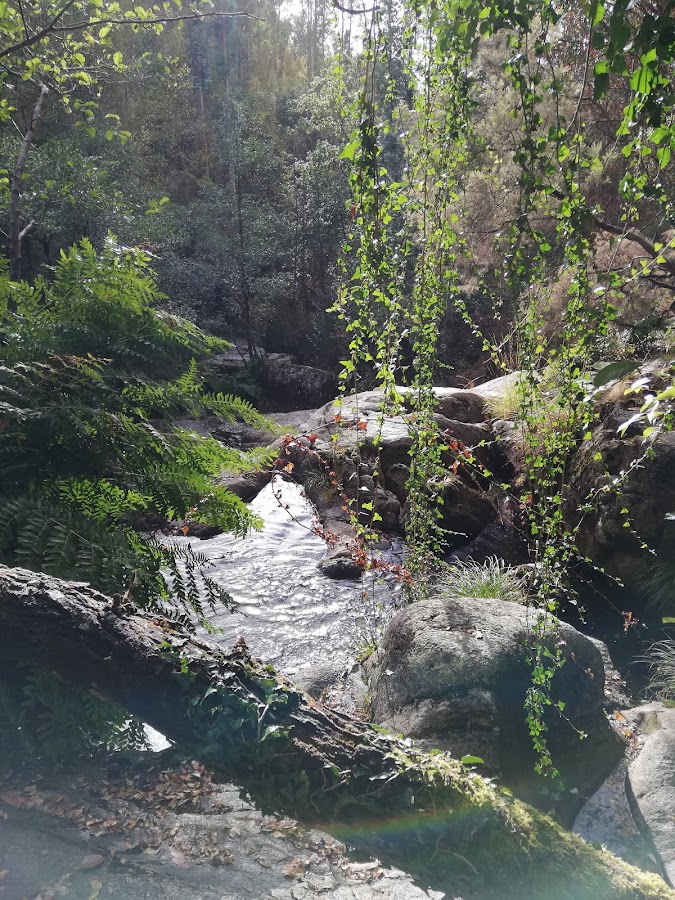 Cascada de Zarzo