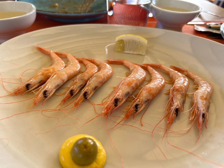 Amarras