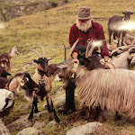 Photo n°10 de l'avis de Gaetano.a fait le 15/12/2017 à 16:42 sur le  Centro del Bitto Storico Ribelle à Gerola Alta