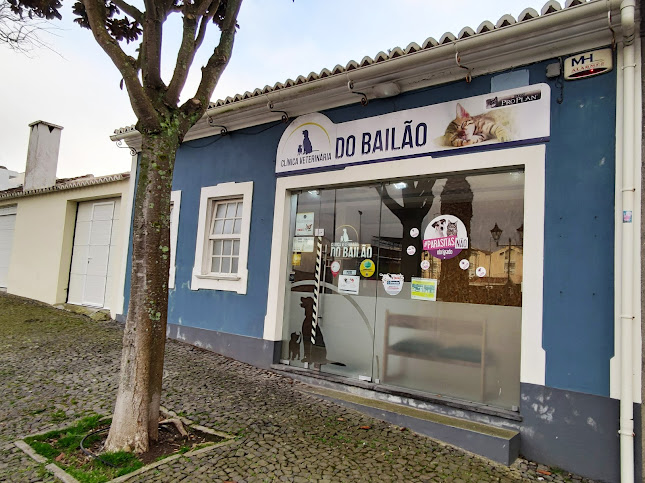 Clínica Veterinaria do Bailāo