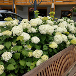 Photo n°1 de l'avis de jalen.u fait le 11/07/2018 à 14:59 sur le  Yachthotel Chiemsee GmbH à Prien am Chiemsee