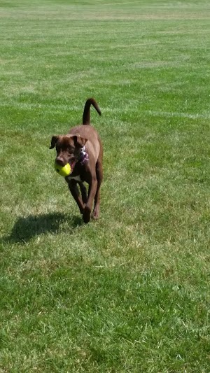 Stansbury Park - photo 51