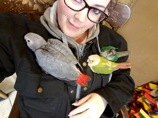 Bird Shop «Bird House», reviews and photos, 1020 NJ-18 E, East Brunswick, NJ 08816, USA