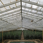 Photo n°1 de l'avis de florelle.e fait le 04/09/2021 à 06:33 sur le  Senhora da Rosa, Tradition & Nature Hotel à Ponta Delgada