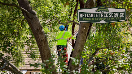 Reliable Tree & Stump Removal LLC