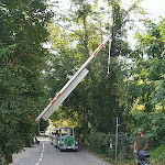 Photo n°1 de l'avis de Gaetano. fait le 10/09/2023 à 11:21 sur le  Parco della Rocca Borromea à Arona