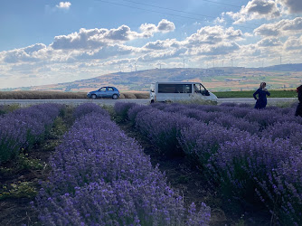 Çeltik Köyü Parkı