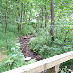 Photo n°2 de l'avis de Ronny.o fait le 28/06/2020 à 19:11 sur le  Waldgaststätte Rinderstall im Nationalpark Harz à Sankt Andreasberg