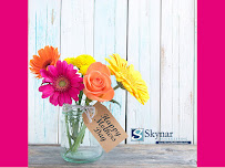 Skynar Bookkeeping Services, LLC - Photo 8 - Car repair in South Lyon, MI, South Lyon