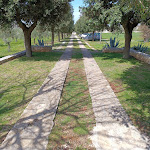 Photo n°8 de l'avis de Giuseppe.e fait le 26/03/2024 à 20:49 sur le  Vilă Torto su colline di Monopoli à Monopoli