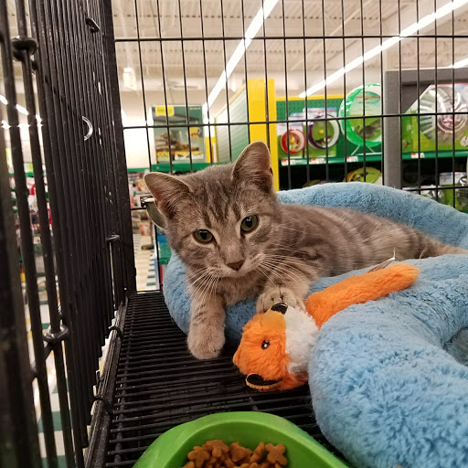 Pet Supply Store «Pet Supplies Plus», reviews and photos, 1354 Ety Rd NW, Lancaster, OH 43130, USA