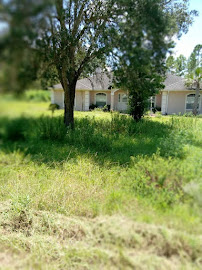 Lawn & Order 2021 LLC - Photo 2 - Car repair in , Ocala