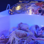 Photo n°4 de l'avis de Giuseppe. fait le 19/03/2023 à 17:33 sur le  Mamma Mia à Castellammare di Stabia