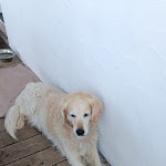 Photo n°1 de l'avis de Manuela.a fait le 12/10/2023 à 21:15 sur le  Cafe-Bistro Tante Emma à Scheidegg