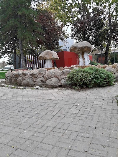 Photos of Park Kisela Voda Tinex