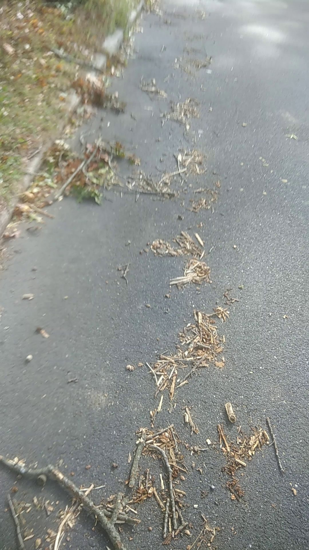 Castle Generators, LLC