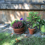 Photo n°2 de l'avis de Detlev.a fait le 23/08/2021 à 17:26 sur le  Café und Ferienwohnungen Bugewitz à Bugewitz