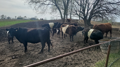 Yarde Veterinary Services (Food Animal Veterinarian) image