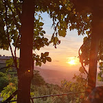 Photo n°1 de l'avis de Ernst.z fait le 15/06/2020 à 20:55 sur le  La Pergola Di Radicondoli à Radicondoli