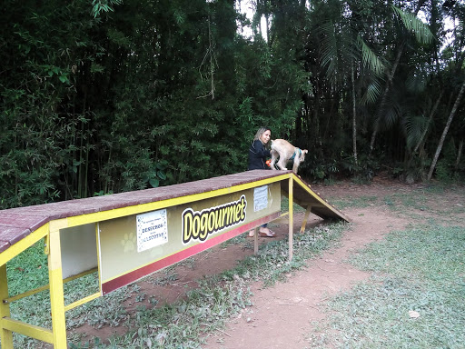 Parque de Mascotas 
