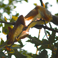 Leonetography - Photo 4 - Car repair in , Waldorf