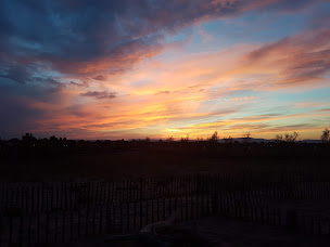 Photo n°123 de La Baraquette à Torreilles ()