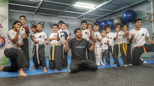 Clases karate niños Santiago de Chile