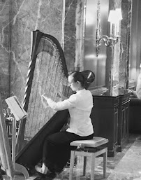 Brittany Burns, Harpist - Photo 4 - Car repair in , Killeen