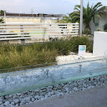 Photo n°2 de l'avis de Simone.i fait le 29/08/2019 à 15:47 sur le  Attilio Beach Pleasure Club .253 à Milano Marittima