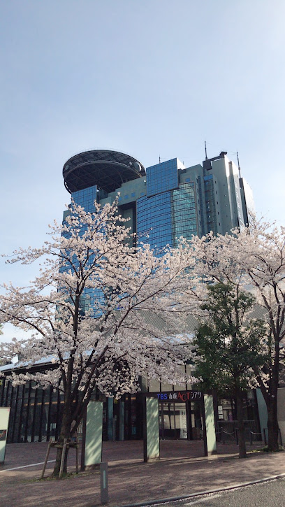赤坂サカスの桜 桜の花びらたち
