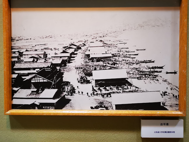 〒069-0834 北海道江別市文京台東町４１