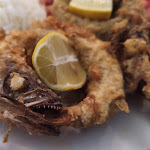 Photo n°1 de l'avis de Juliano.. fait le 14/01/2023 à 13:01 sur le  Porto Á Noite à Porto