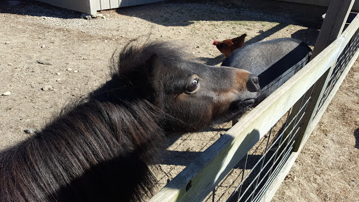 Campground «Hickory Hills Campground», reviews and photos, 499 Dixie Hill Rd, Spencer, IN 47460, USA