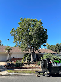BLUE STAR LANDSCAPING CONSTRUCTION - Photo 8 - Car repair in , Moreno Valley