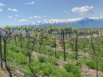 Mt Naomi Farms & Vineyards - Photo 6 - Car repair in Hyde Park, UT, Logan