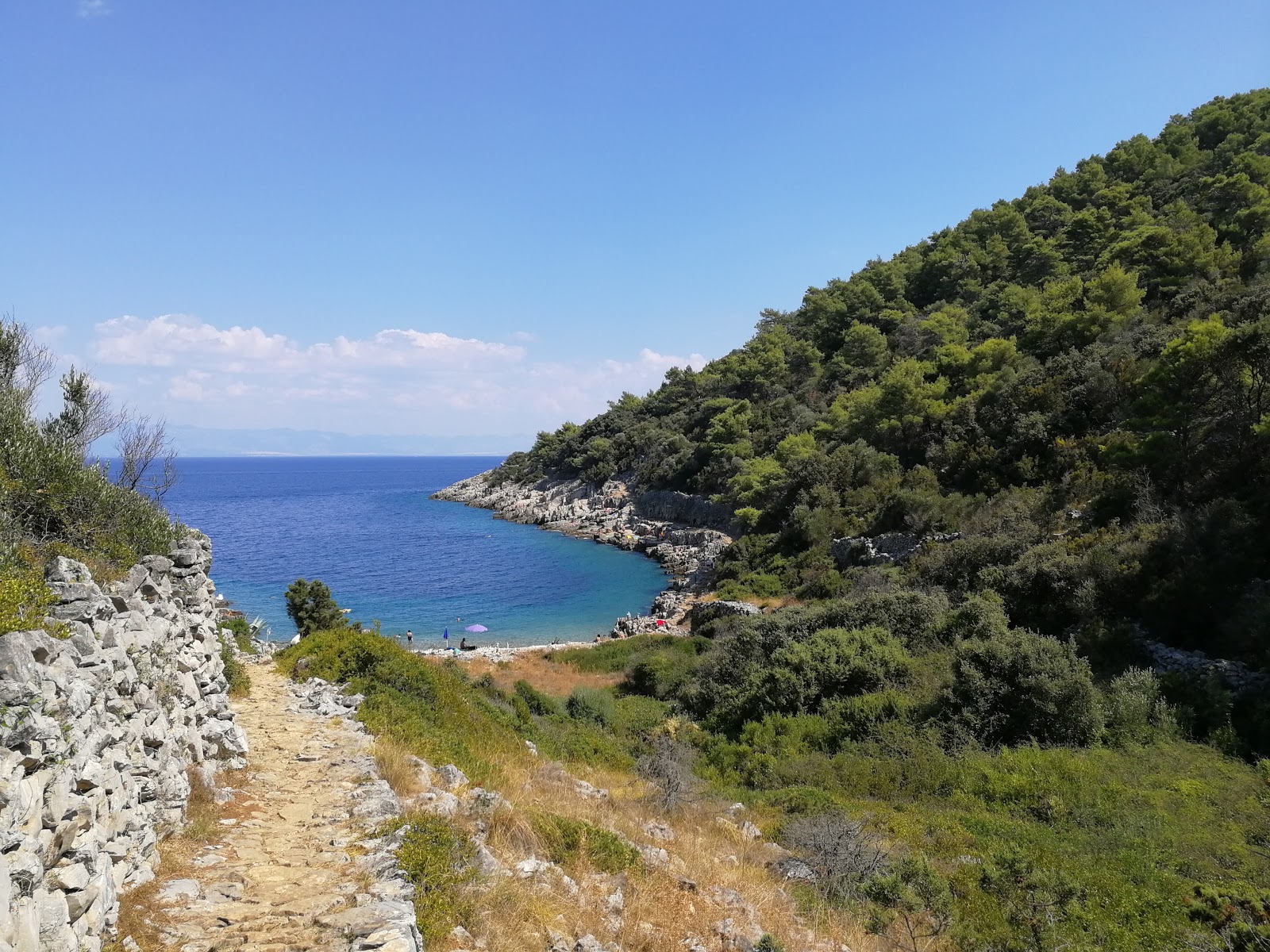 Foto di Plaza Javorna ubicato in zona naturale