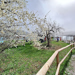 Photo n°6 de l'avis de Elke.a fait le 04/04/2024 à 17:39 sur le  Käfer Gut Kaltenbrunn à Gmund am Tegernsee