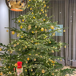 Photo n°2 de l'avis de Robin.a fait le 12/12/2023 à 22:56 sur le  Holiday Inn Stuttgart, an IHG Hotel à Stuttgart