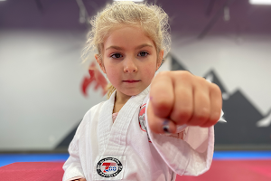 Everest Taekwondo Troy | Martial Arts & Fitness Center image