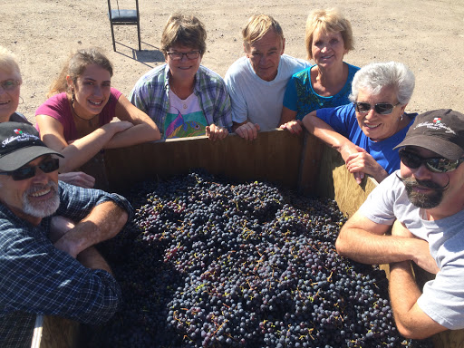 Vineyard «Millner Heritage Vineyard & Winery», reviews and photos, 32025 MN-15, Kimball, MN 55353, USA