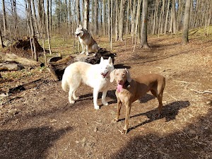 Branford Supply Pond Park - photo 23