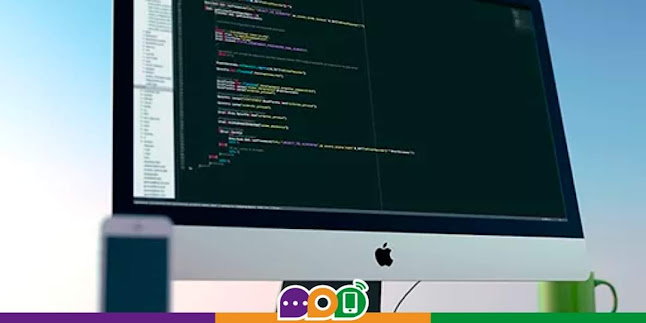 SOLOMOec - Diseño Web y Estrategia Digital - Diseñador de sitios Web
